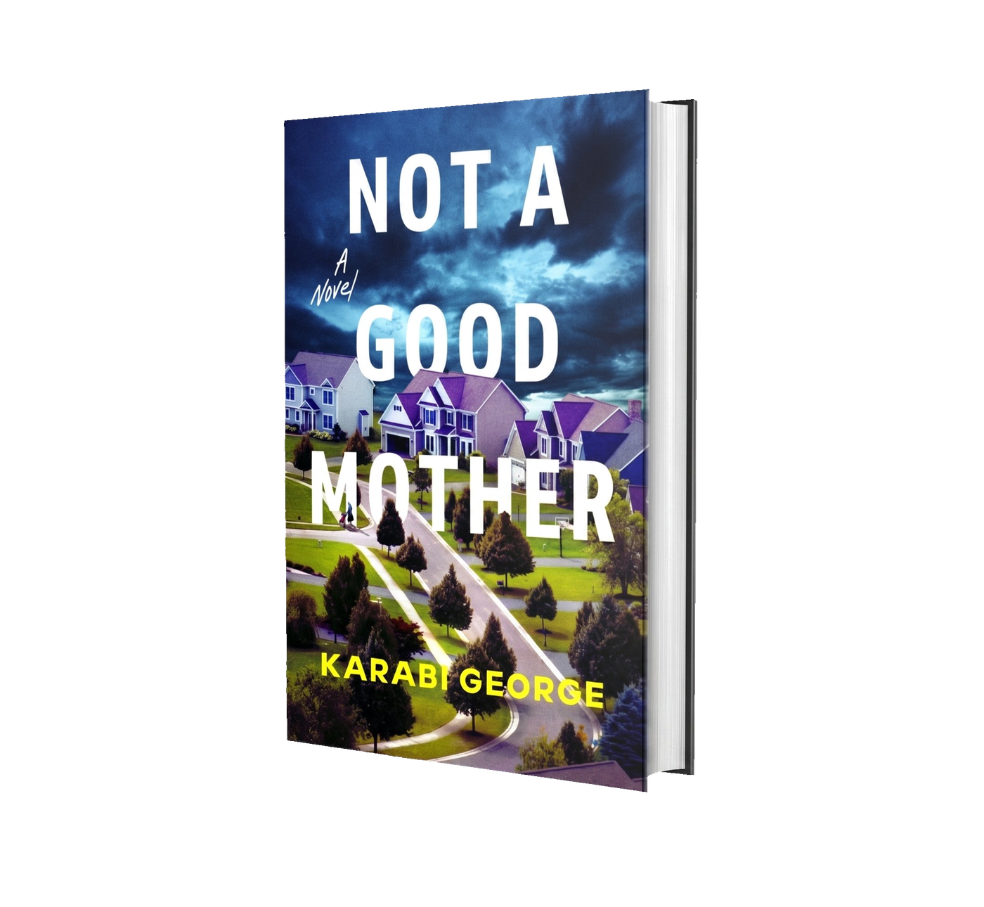 Not a Good Mother by Karabi George